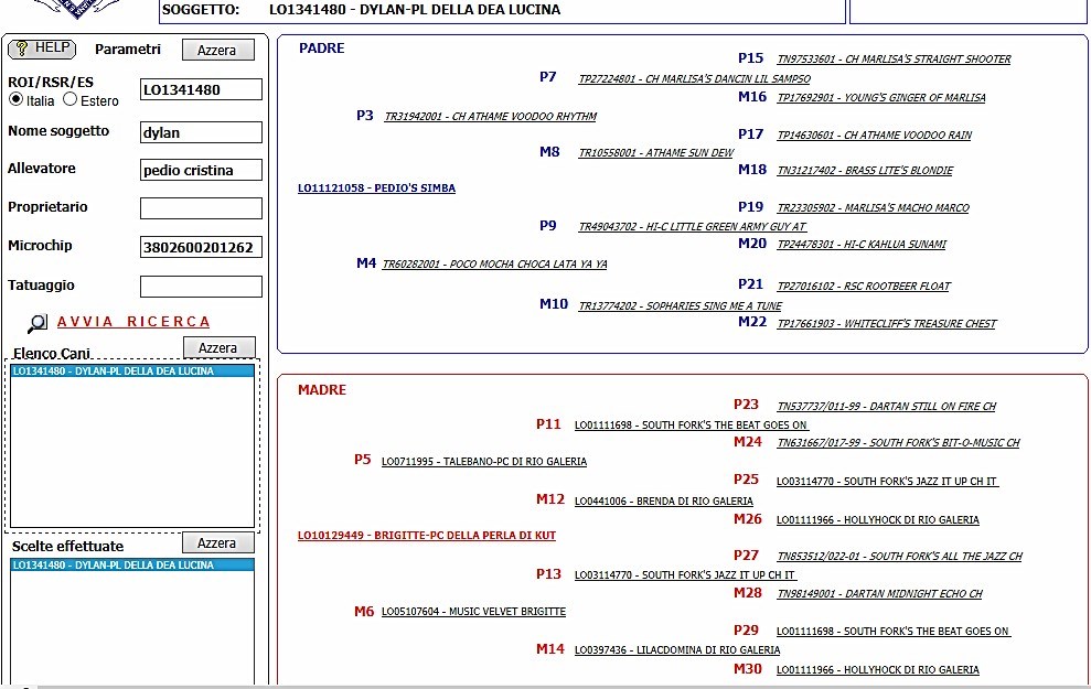 dylanpedigree