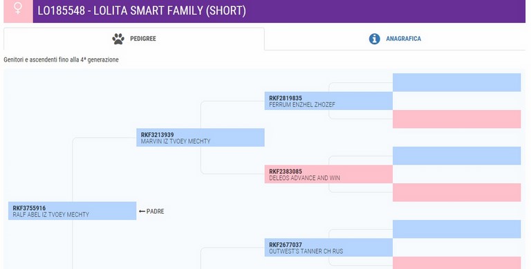 lolita pedigree